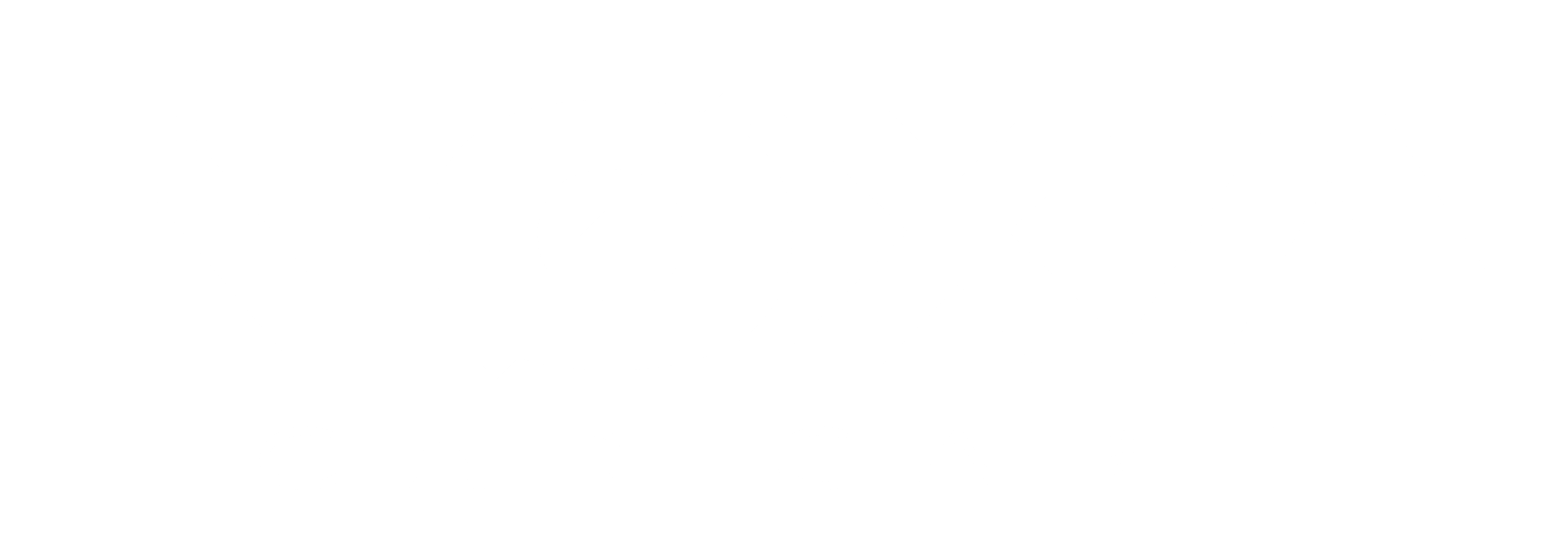 Noxa Detail